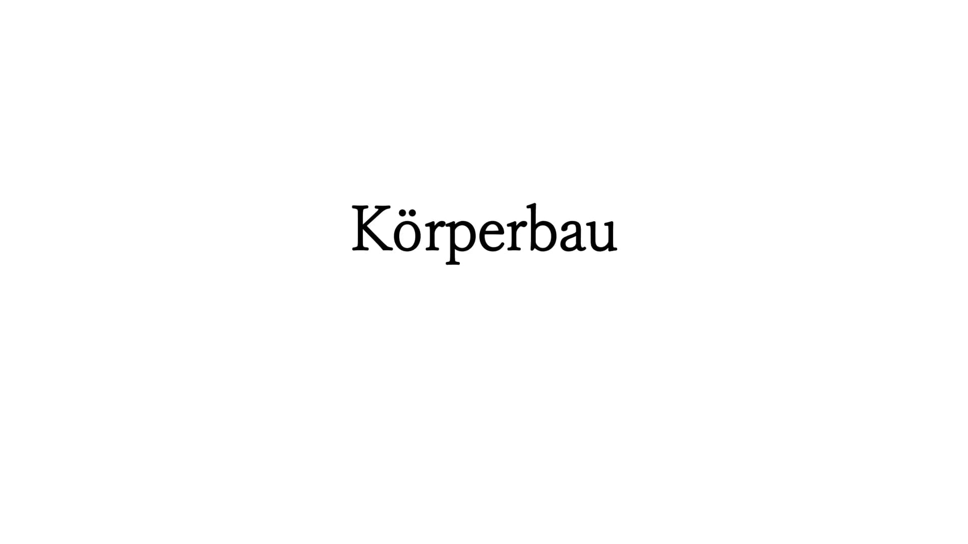 Regenwurm Der lateinische Name des Regenwurms lautet:
Lumbricidae Körperbau Der Körper des Regenwurms besteht aus
zahlreichen Gliedern (Segm