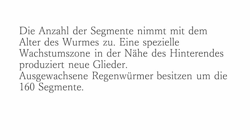 Regenwurm Der lateinische Name des Regenwurms lautet:
Lumbricidae Körperbau Der Körper des Regenwurms besteht aus
zahlreichen Gliedern (Segm