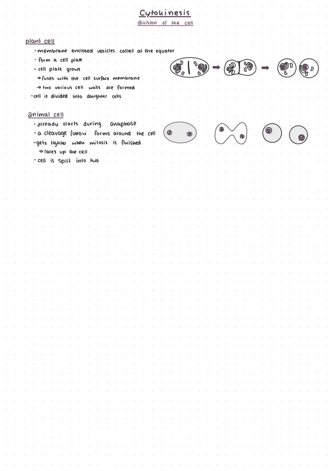 cell cycle
mitosis
cytokenesis
interphase
mitosis.
interphose
G₁, S, G₂
-
The cell cycle.
mitosis
cytokinesis
telophase
anaphase
3-12
minute