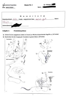 Know Proteinbiosynthese (Translation, Transkription), Genmutation thumbnail