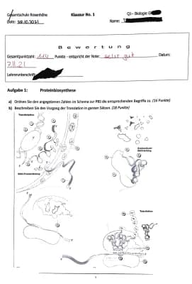 Know Proteinbiosynthese (Translation, Transkription), Genmutation thumbnail