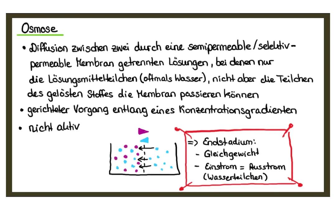 Osmose und Semipermeable Membran einfach für Kinder erklärt