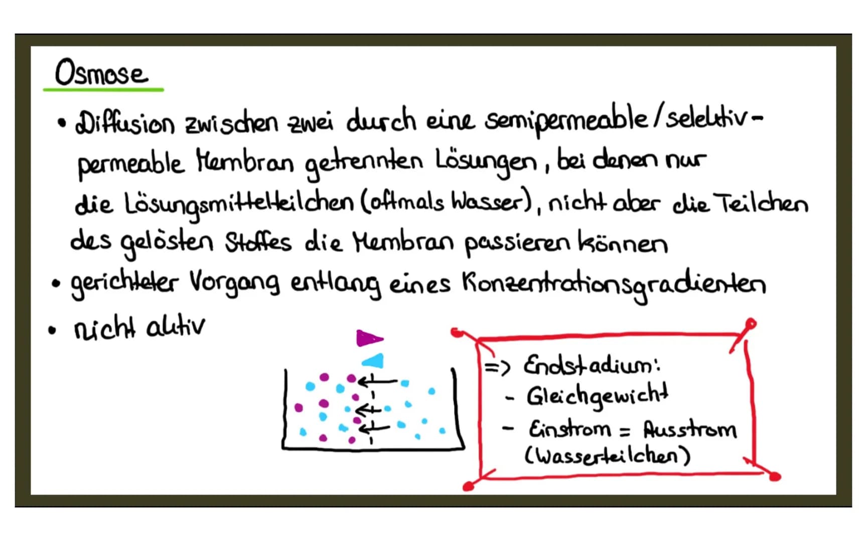 Osmose
Diffusion zwischen zwei durch eine semipermeable /selektiv-
permeable Membran getrennten Lösungen, bei denen nur
die Lösungsmitteltei