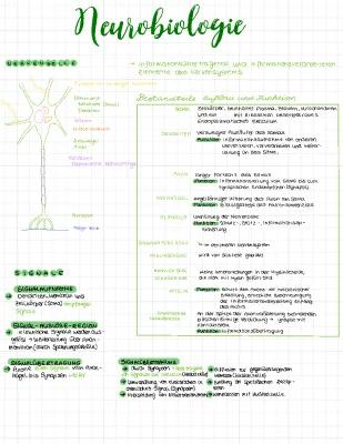 Know Lernzettel Neurobiologie  thumbnail