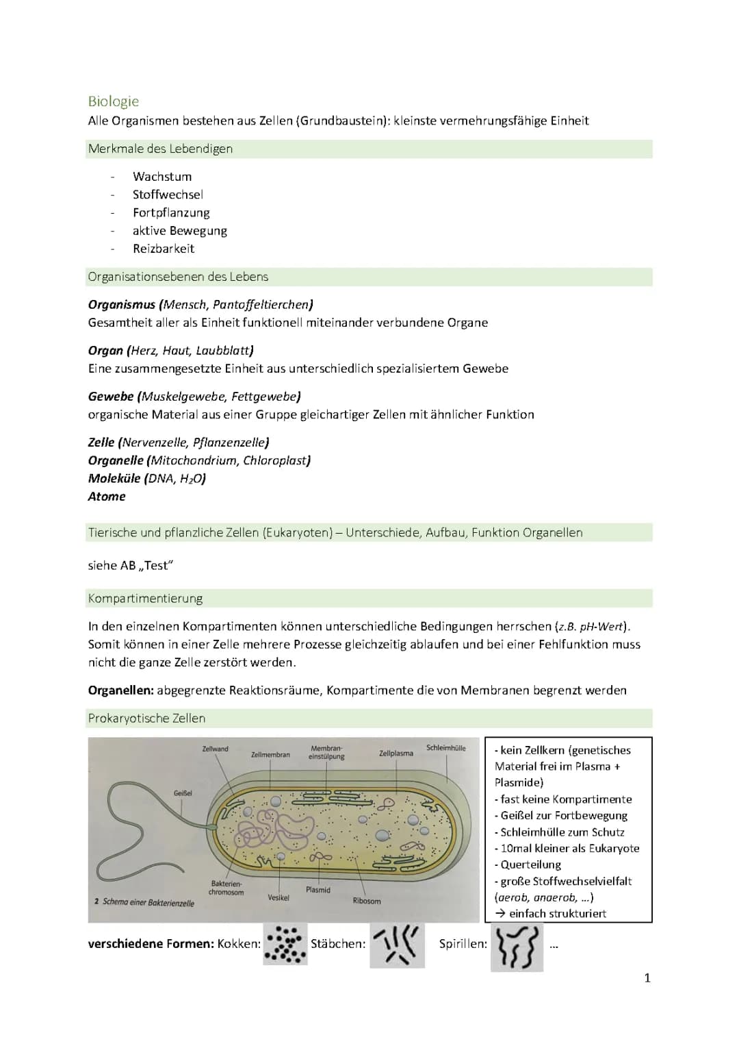 Zellbiologie Oberstufe 
