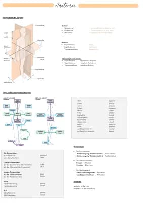 Know Anatomie (Bewegungsapparat, Knochen, Muskeln, Haut, Nagel, Herz + Arterien und Venen) thumbnail