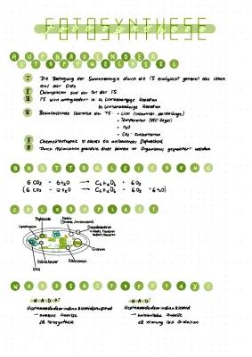 Know Fotosynthese Lichtabhängige Reaktion + Fotosysteme   thumbnail