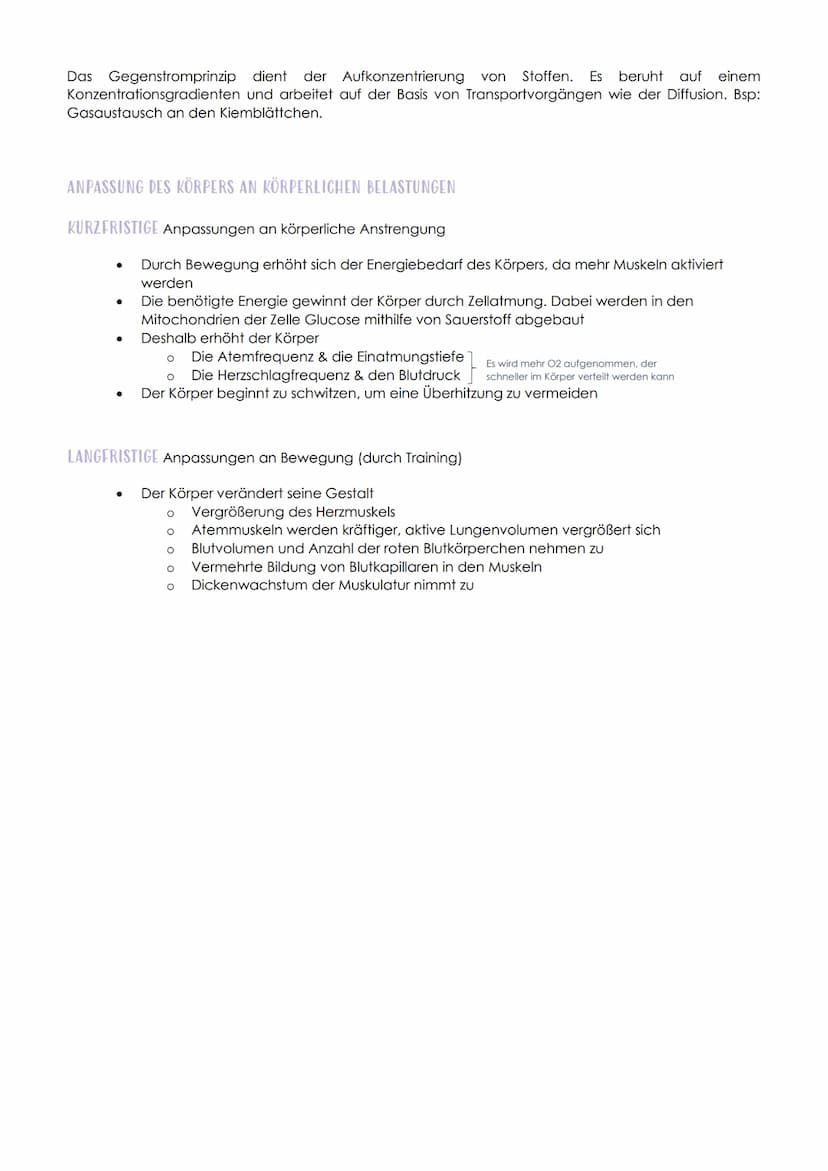 12.1 SPORTBIOLOGIE
1. ΕΝΖΥΜΑΤΙΚ
AUFBAU UND FUNKTION VON ENZYMEN
Aus 1000en Aminosäuren, die zu einer Polypeptidkette verknüpft sind und zu e