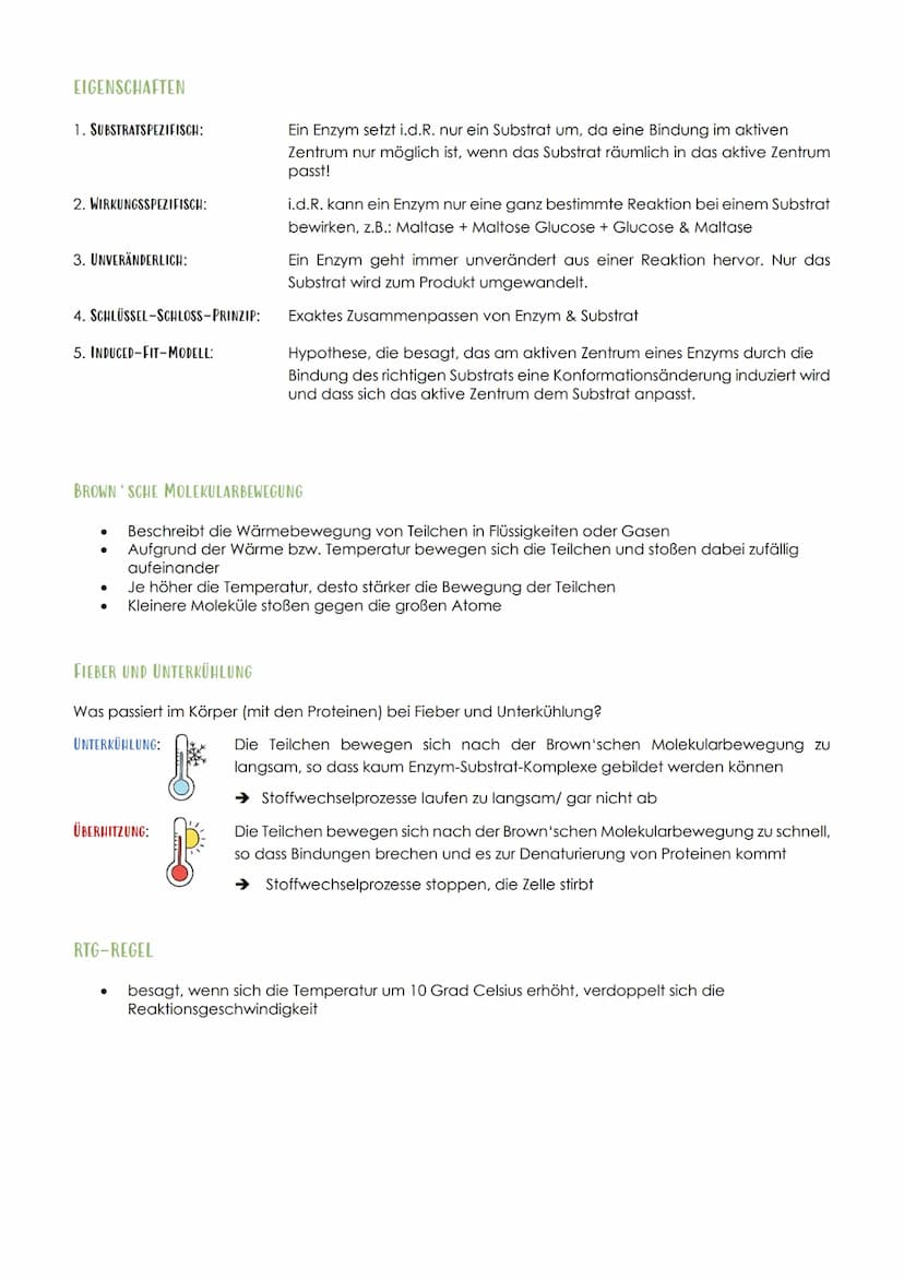 12.1 SPORTBIOLOGIE
1. ΕΝΖΥΜΑΤΙΚ
AUFBAU UND FUNKTION VON ENZYMEN
Aus 1000en Aminosäuren, die zu einer Polypeptidkette verknüpft sind und zu e