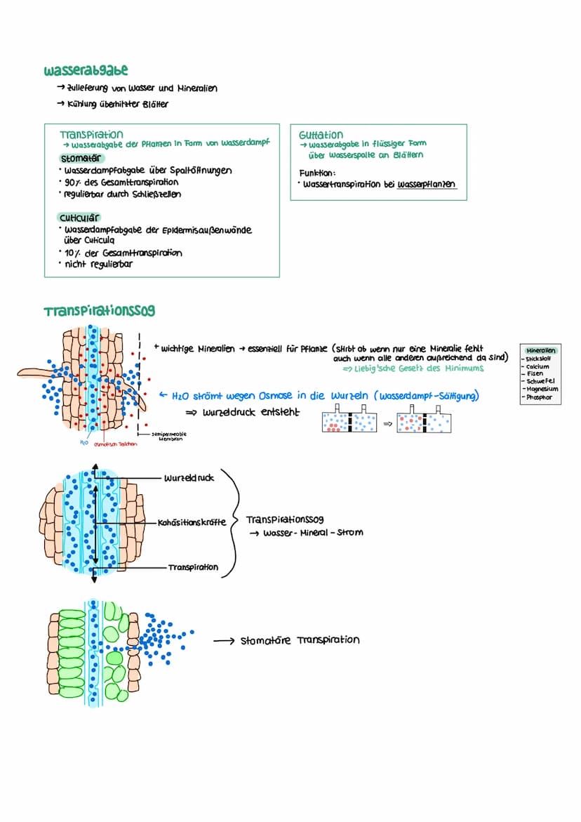 STOFFWECHSEL aktives
Zentrum
Enzymatik
Definition
= Biokatalysatoren
→ Stoffe im Organismus die als Reaktionsbeschleuniger wirken
→ setzen A