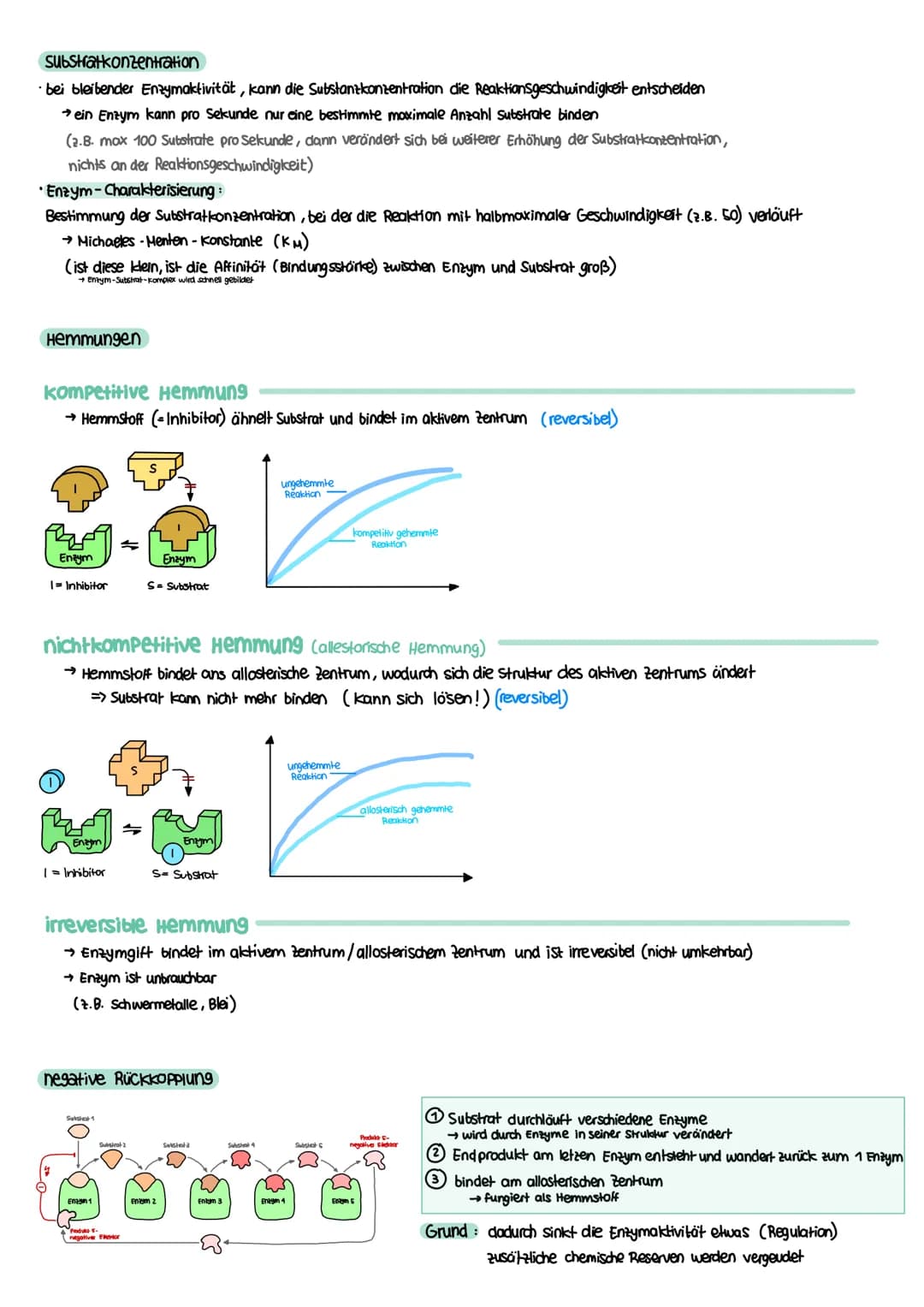 STOFFWECHSEL aktives
Zentrum
Enzymatik
Definition
= Biokatalysatoren
→ Stoffe im Organismus die als Reaktionsbeschleuniger wirken
→ setzen A