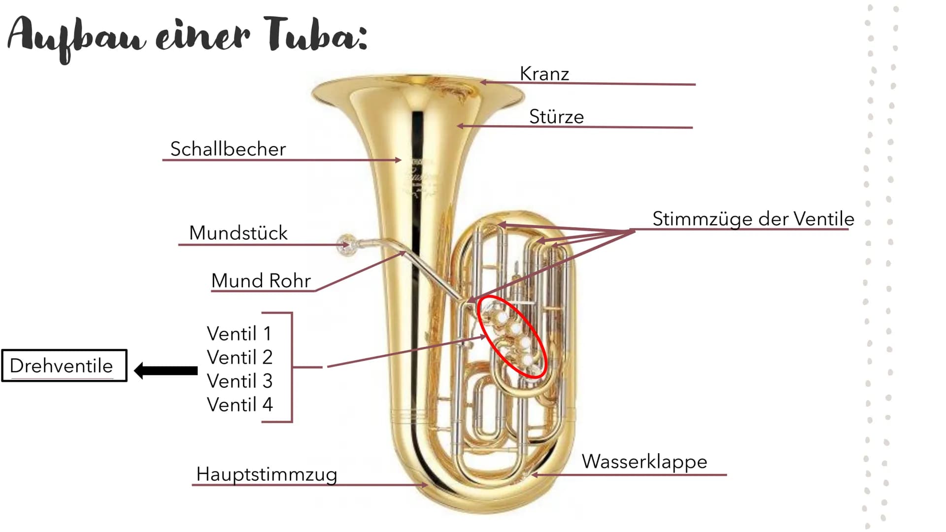 Die Tuba
DAS TIEFSTE
BLECH BLASINSTRUMENT
·
● Gliederung:
#
Allgemeines
Tuba Arten
Aufbau einer Tuba
Bekanntes Musikstück
●
●
● Allgemeines: