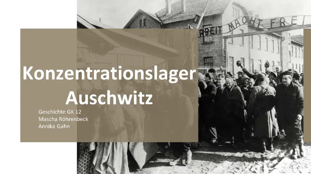  Auschwitz