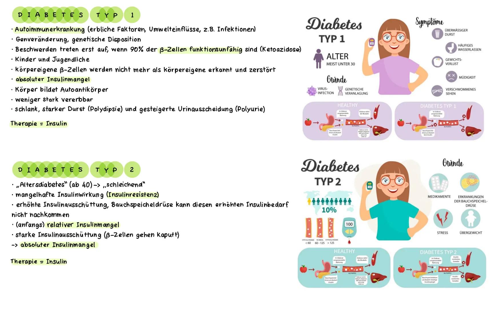 ΑΝΑΤΟΜΙΕ PANKREAS
4 Hauptgallengang
(Ductus choledochus).
5 oberer Abschnitt des Zwölffingerdarms
(Pars superior duodeni).
6 absteigender Ab