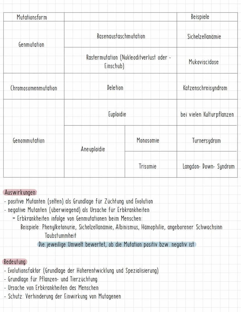 Merkmale des Menschen
Haarform
glatt
gewellt
angewachsenen
Humangenetik
Strahlung
- radioaktive
Strahlung
Ohrläppchen
- wirken auf das Ersch