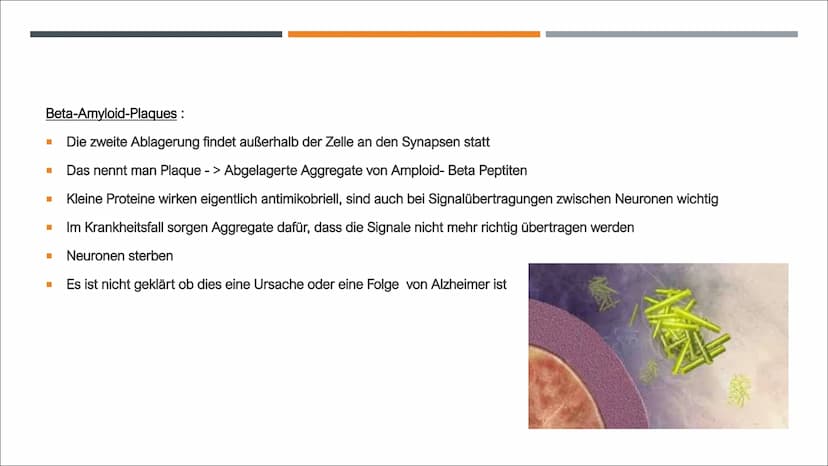 ALZHEIMER
VON Z. GENCARSLAN UND C. YESILKAYA GLIEDERUNG
■
I
I
■
Geschichte
Was ist Demenz?
Was ist Alzheimer?
Symptome
Was passiert im Gehir