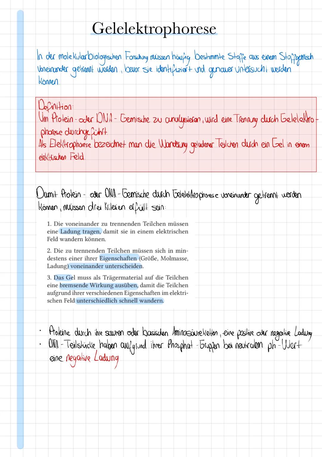 # Gelelektrophorese

In der molekular biologischen Forschung mussen häufig bestimmte Stoffe aus einem Stoffgemisch
Voneinander getrennt werd