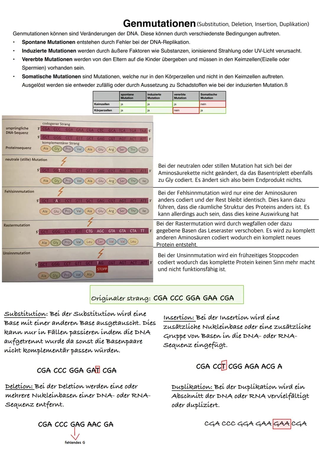 Q1.2 Gene und Gentechnik
grundlegendes Niveau (Grundkurs und Leistungskurs)
Bau und Vermehrung von Bakterien (Schema)
Regulation der Genakti