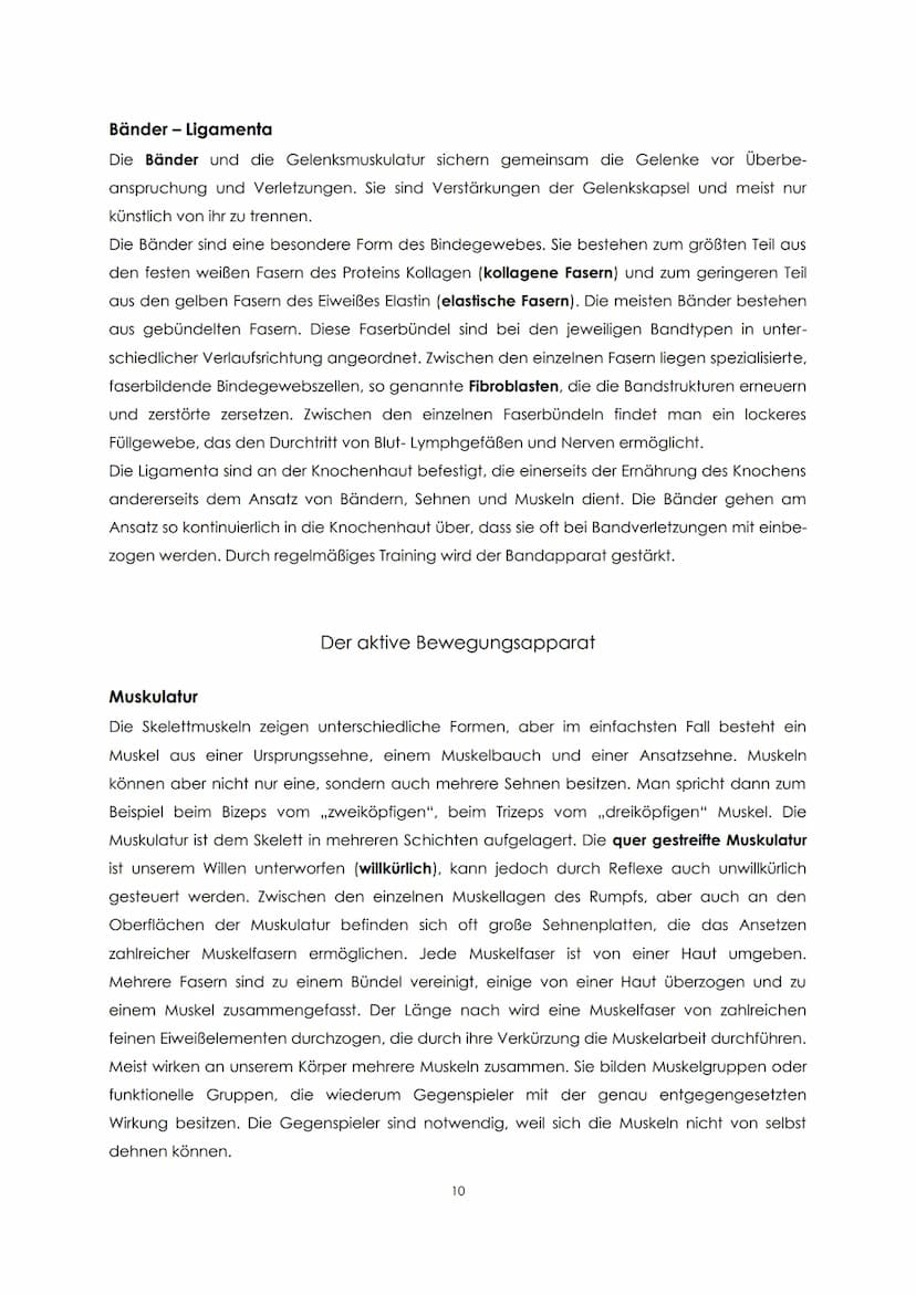 Funktionelle Anatomie
Bauplan des menschlichen Körpers
Man unterscheidet einen Stamm (Truncus) und zwei Paar Gliedmaßen, Arm und Bein. Der
S
