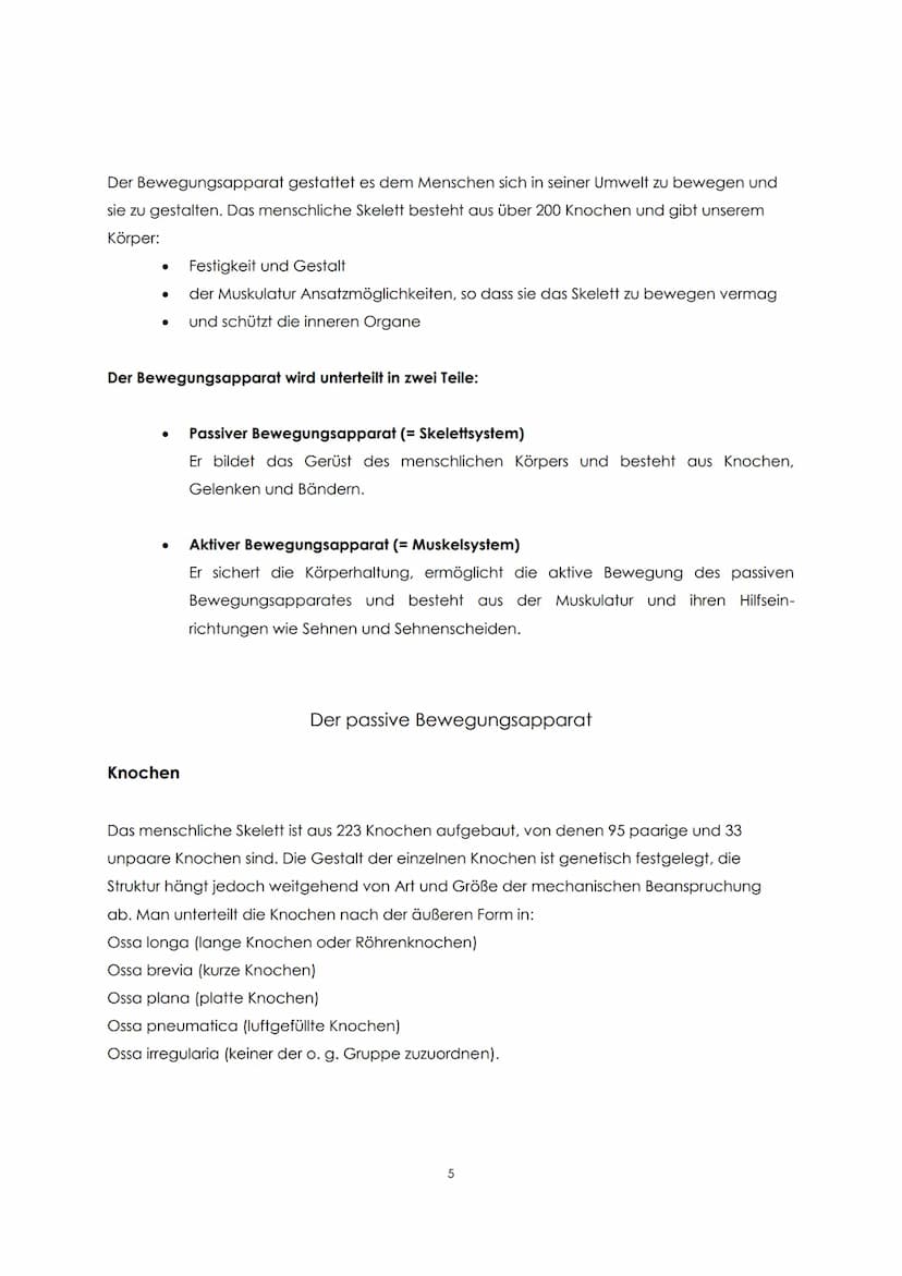 Funktionelle Anatomie
Bauplan des menschlichen Körpers
Man unterscheidet einen Stamm (Truncus) und zwei Paar Gliedmaßen, Arm und Bein. Der
S