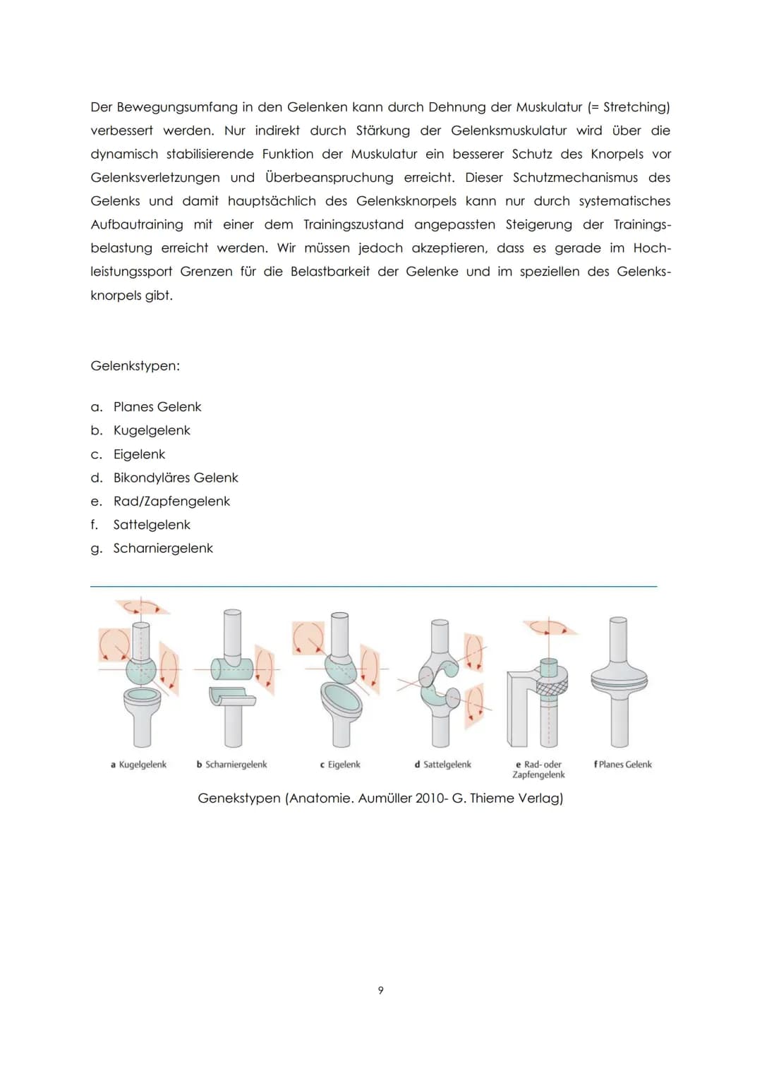 Funktionelle Anatomie
Bauplan des menschlichen Körpers
Man unterscheidet einen Stamm (Truncus) und zwei Paar Gliedmaßen, Arm und Bein. Der
S