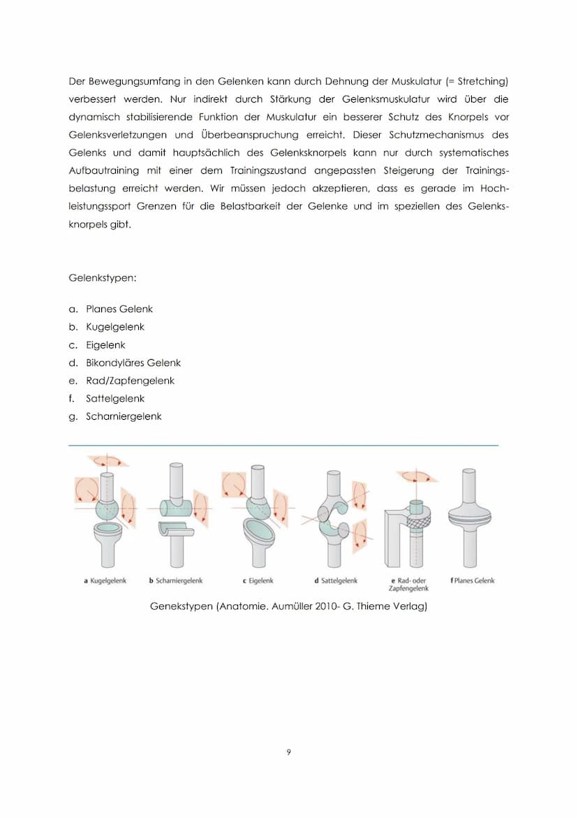 Funktionelle Anatomie
Bauplan des menschlichen Körpers
Man unterscheidet einen Stamm (Truncus) und zwei Paar Gliedmaßen, Arm und Bein. Der
S