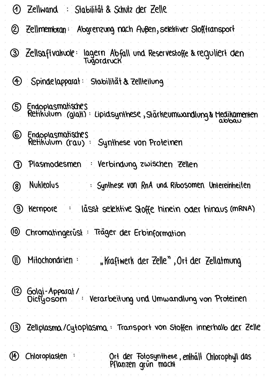 BIOLOGIE
Cytologie [tos - Zelle, logos - Lehre]
Die Zelle ist die kleinste lebende Einheit.
Sie dient dem/der Fortpflanzung
Wachstum
Reizübe