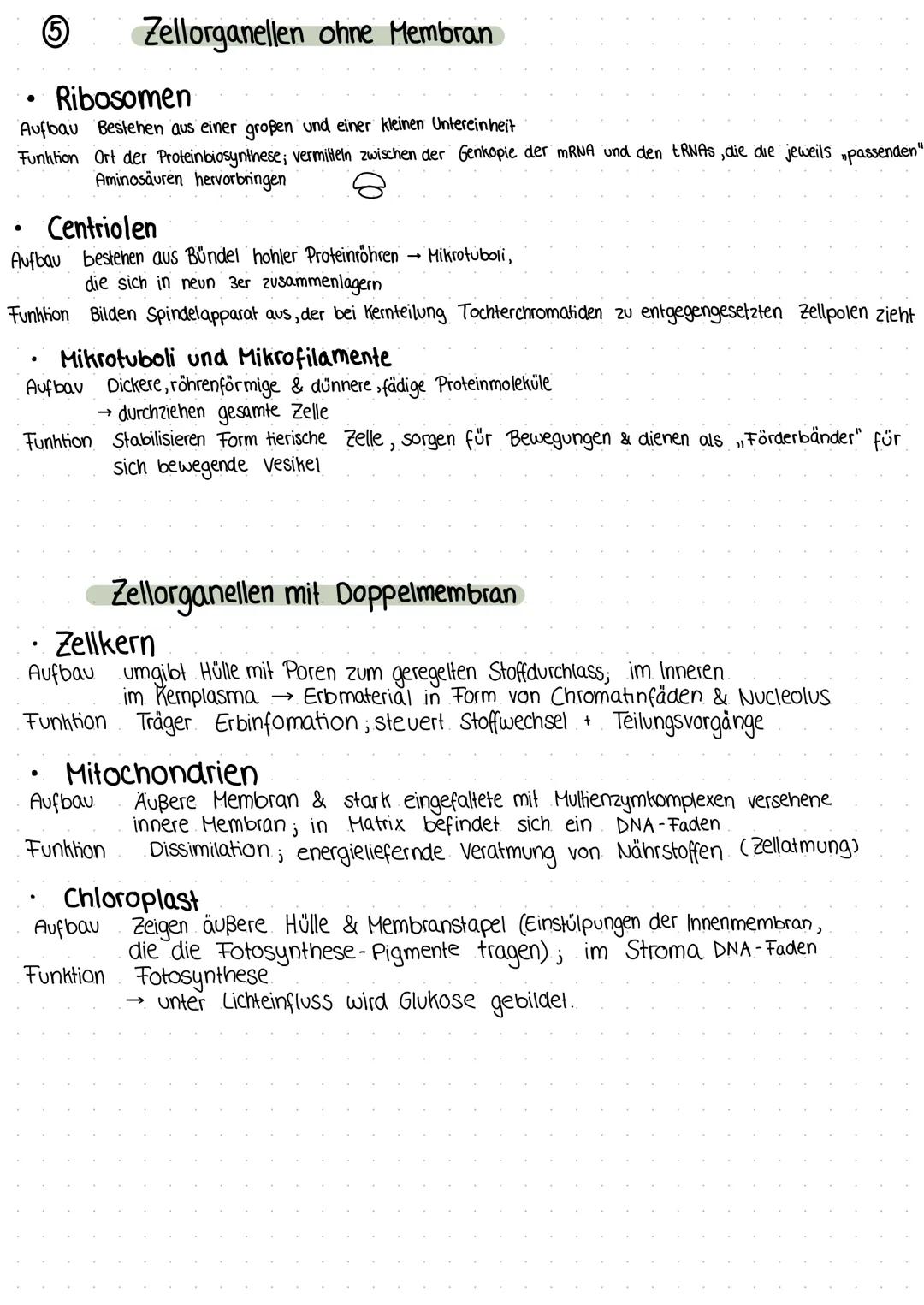 BIOLOGIE
Cytologie [tos - Zelle, logos - Lehre]
Die Zelle ist die kleinste lebende Einheit.
Sie dient dem/der Fortpflanzung
Wachstum
Reizübe