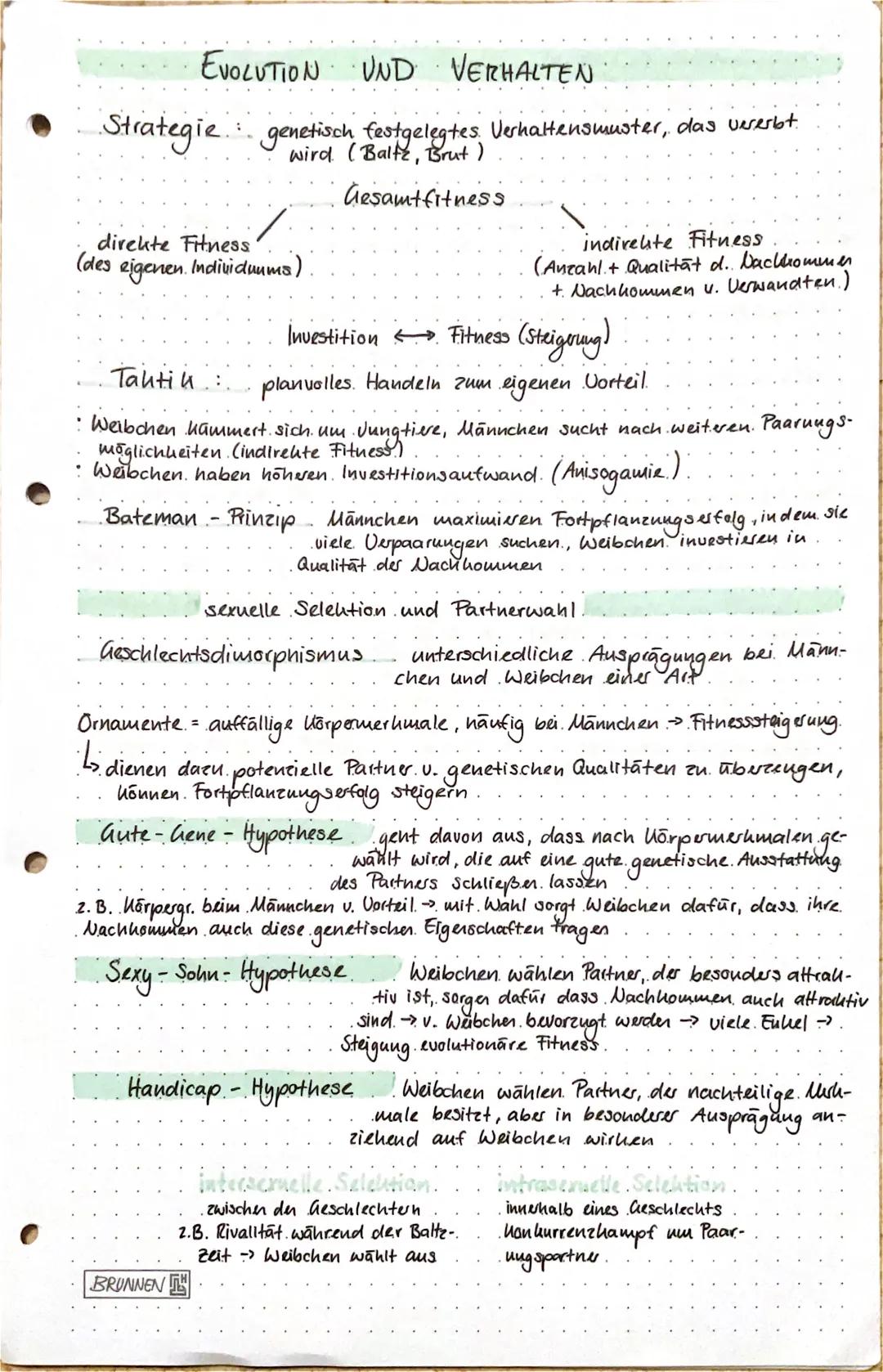 EVOLUTION UND VERHALTEN
Strategie genetisch festgelegtes Verhaltensmuster, das vererbt.
wird (Baltz, Brut )
direkte Fitness
(des eigenen. In