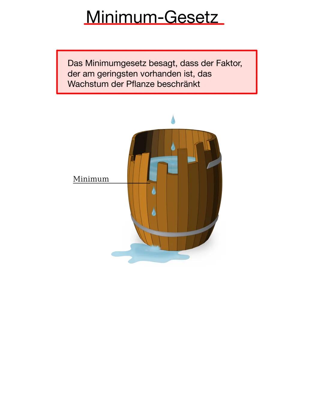 Lotta-Volterra-Regeln
1. Regel: Anzahl von Räuber und Beute schwankt periodisch und
Phasenverzögert
2. Regel: Im Mittel bleiben die Populati