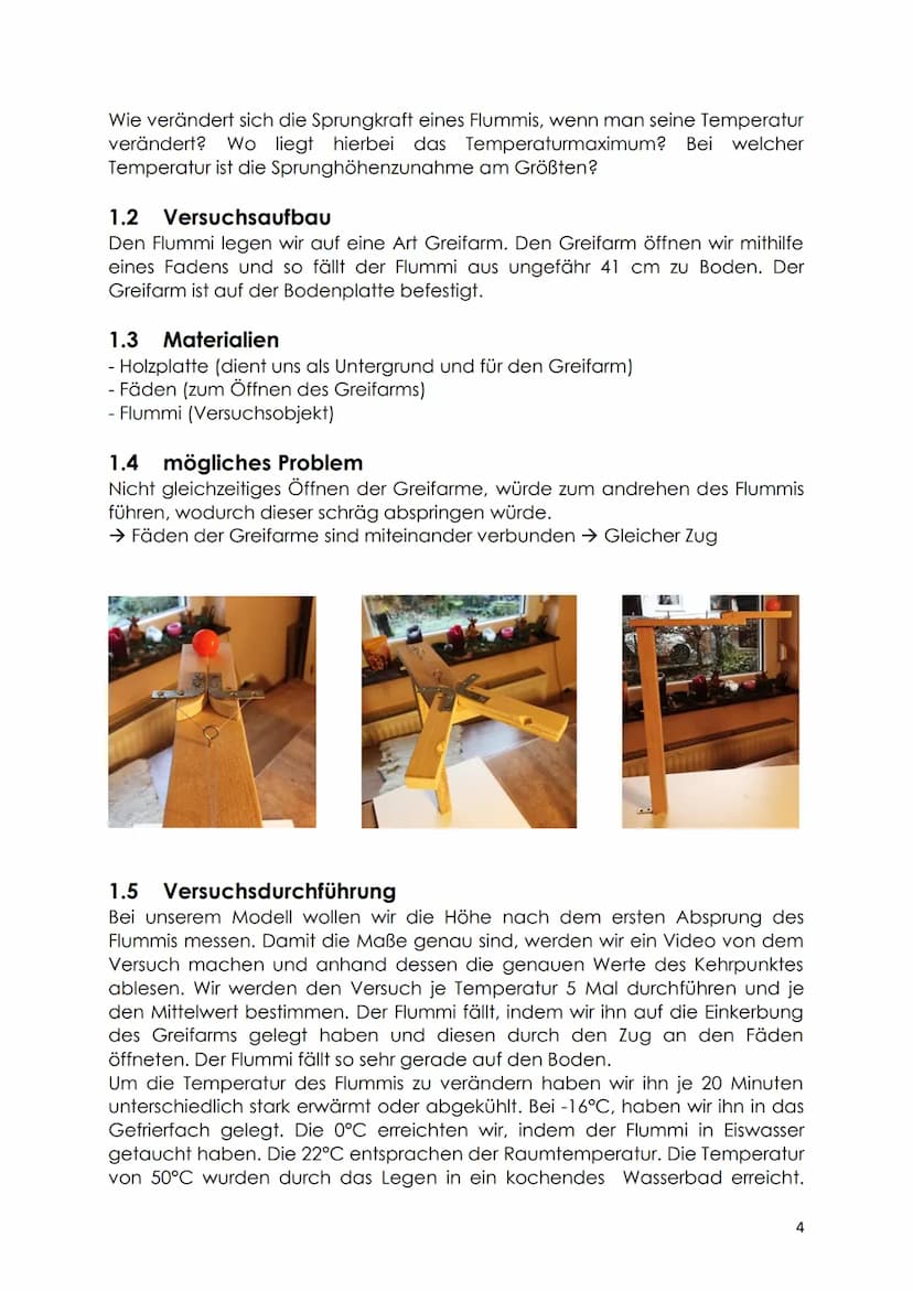  Bericht: NwT1-Freiprojekt
zum Thema Flummis und ihre Sprungkraft
Sophia Stähle
Benjamin Böklen
Klasse 10
Sindelfingen, den 27.12.2018
1 Abs