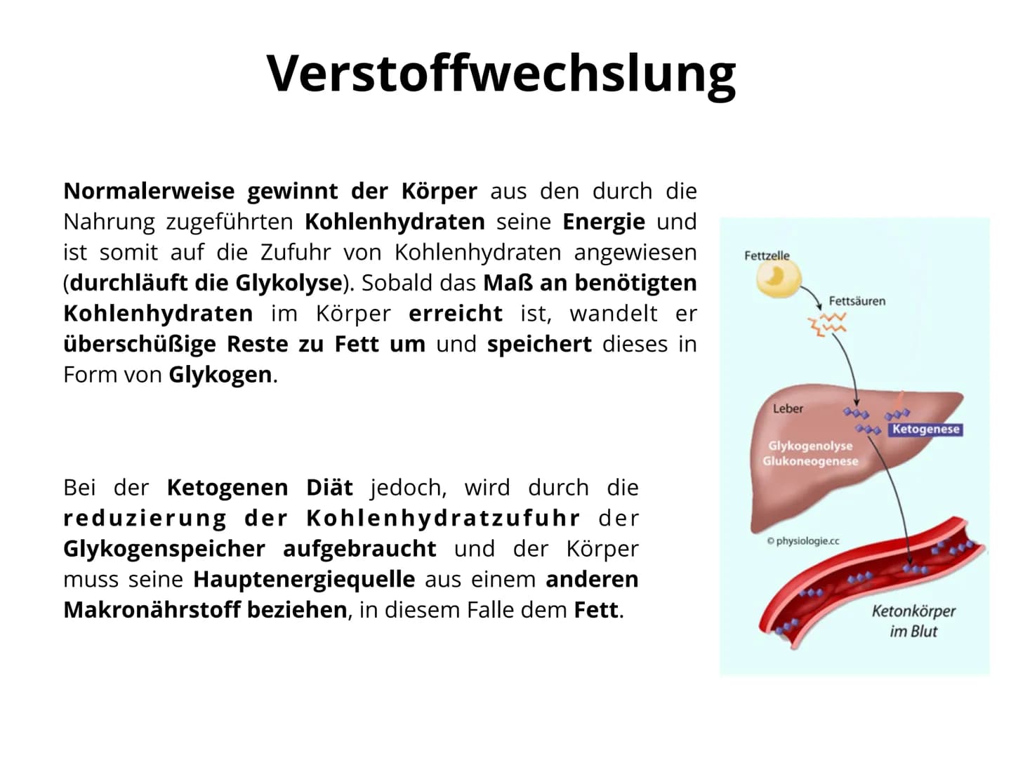 Keto
diet Gliederung
Seite 1.: Was versteht man unter
Ketogener Diät
Seite 2. Lebensmittel do's und dont's
Seite 3. Verstoffwechslung
Seite 