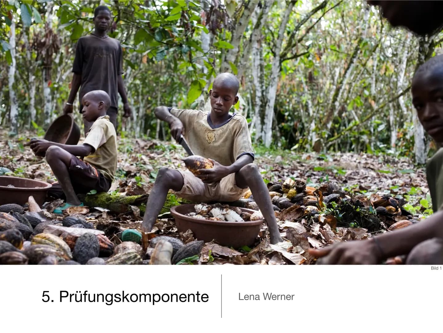 5. Prüfungskomponente
Lena Werner
Bild 1 1
Elfenbeinküste
-
Schokolade nur mit Kinderarbeit?
Prüfer: Herr Götze
Schule: Friedrich-Ebert-Gymn