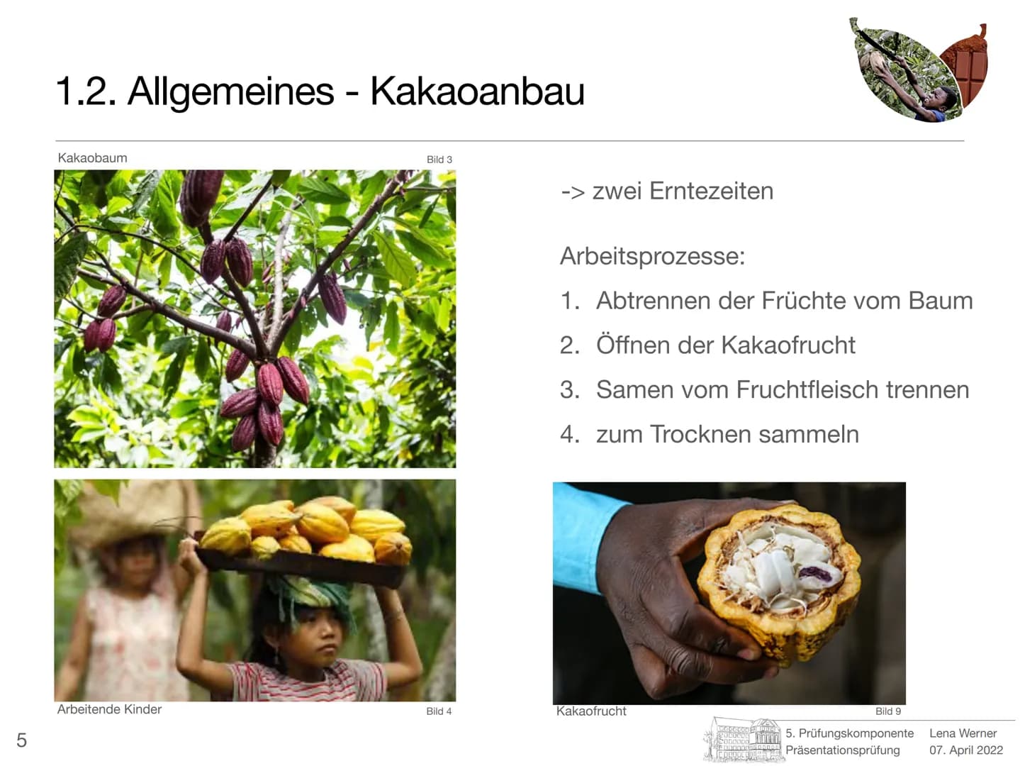 5. Prüfungskomponente
Lena Werner
Bild 1 1
Elfenbeinküste
-
Schokolade nur mit Kinderarbeit?
Prüfer: Herr Götze
Schule: Friedrich-Ebert-Gymn