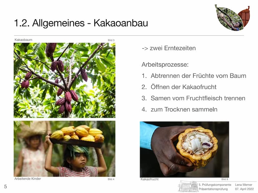5. Prüfungskomponente
Lena Werner
Bild 1 1
Elfenbeinküste
-
Schokolade nur mit Kinderarbeit?
Prüfer: Herr Götze
Schule: Friedrich-Ebert-Gymn
