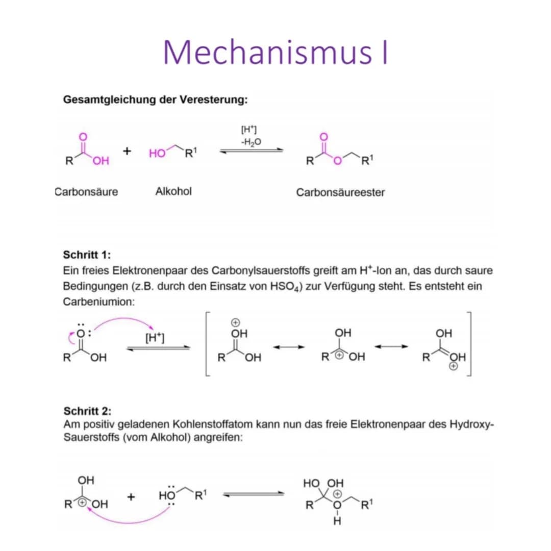 Allgemeines
Definition:
Bei der Veresterung wird auf einer Sauerstoffsäure (in diesem Fall Carbonsäure) und
einem Alkohol ein sogenannter Es