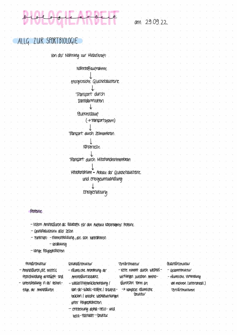 Biologie Lernzettel DIOLOGIE ARBETE
ALLG ZUR SPORTBIOLOGIE
Proteine
1. Von der Nahrung zur Muskelkraft
Nährstoffaufnahme
Primärstruktur
- Am