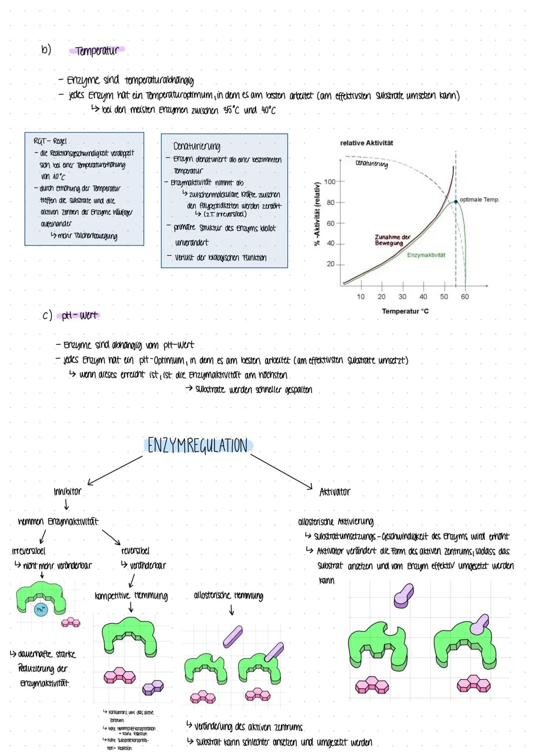 Biologie Lernzettel DIOLOGIE ARBETE
ALLG ZUR SPORTBIOLOGIE
Proteine
1. Von der Nahrung zur Muskelkraft
Nährstoffaufnahme
Primärstruktur
- Am