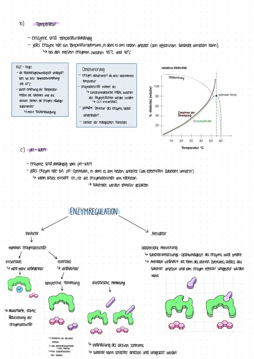 Biologie Lernzettel DIOLOGIE ARBETE
ALLG ZUR SPORTBIOLOGIE
Proteine
1. Von der Nahrung zur Muskelkraft
Nährstoffaufnahme
Primärstruktur
- Am
