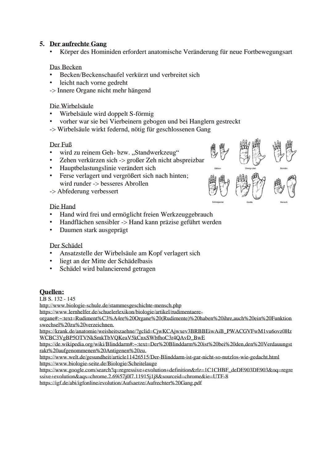 # Evolution des Menschen

1. Allgemeines:

*   Beginn vor etwa 80-90 Mio. Jahren
*   Abstammung von gemeinsamen Vorfahren mit Schimpansen
* 