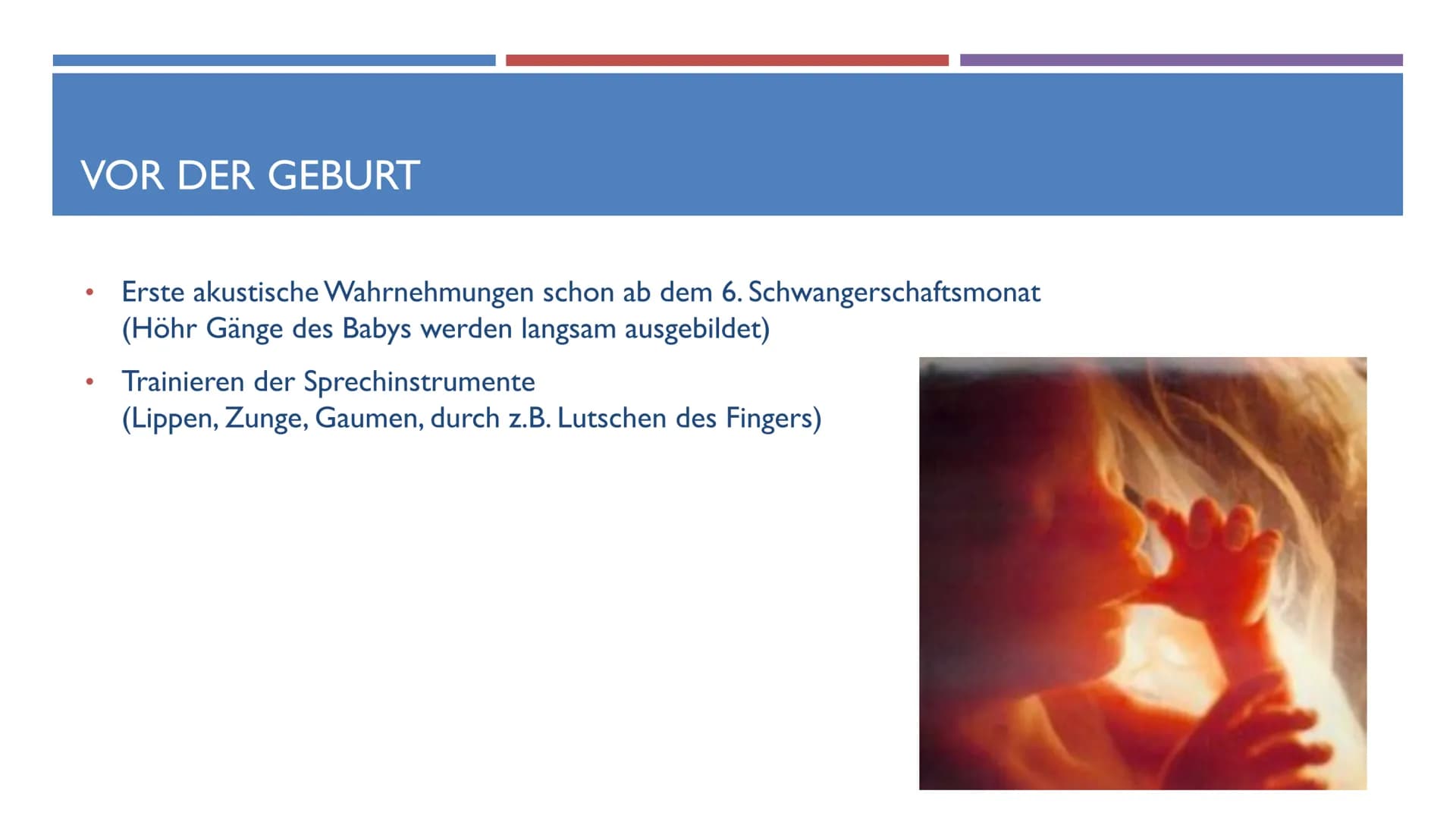 SPRACHENTWICKLUNG VON KLEINKINDERN
DEUTSCH GFS
T
B ●
●
●
GLIEDERUNG
Sprache Definition
Phasen des Erwerbs:
Vor der Geburt
0 bis 3 Monate
4 b