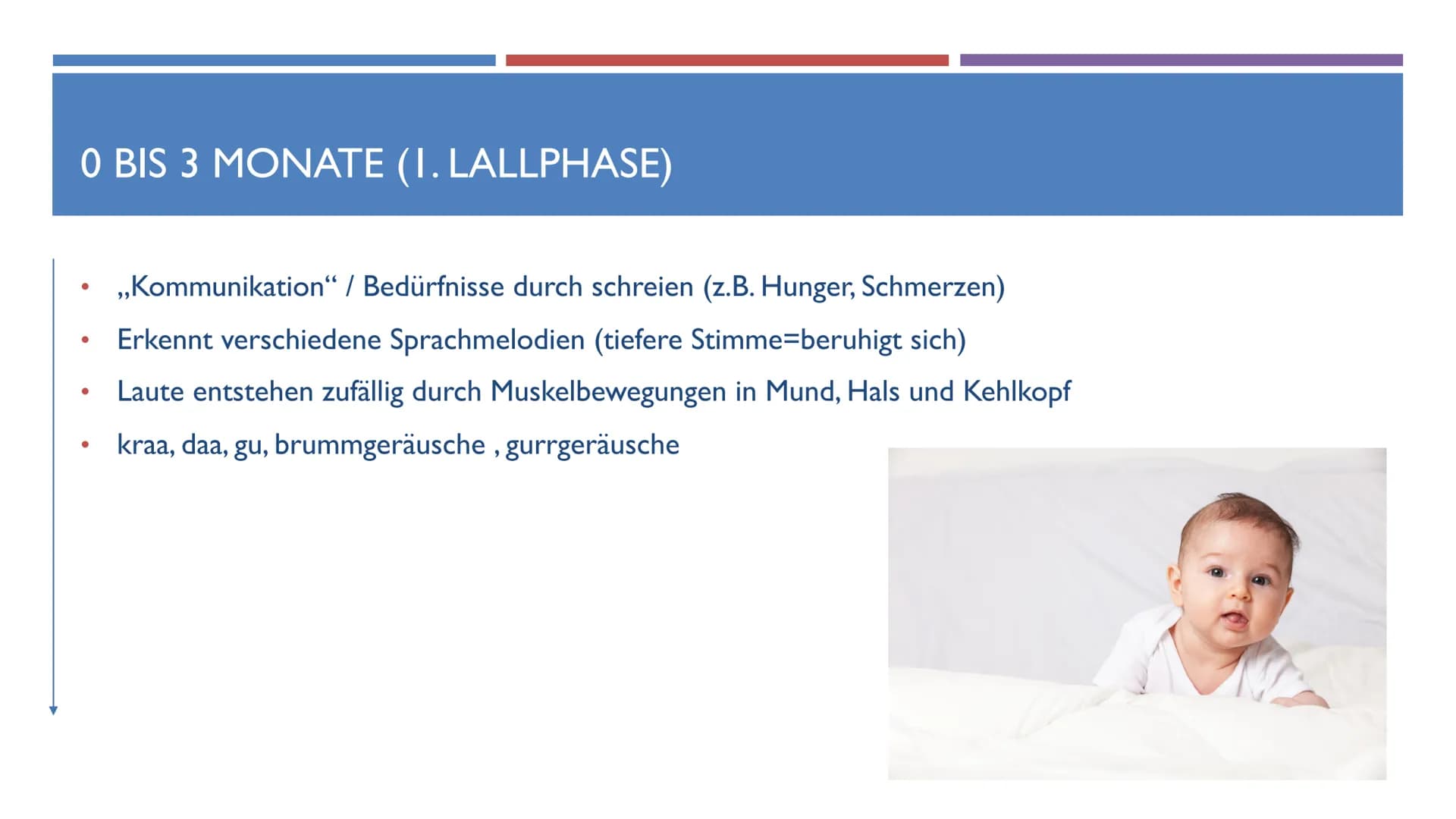 SPRACHENTWICKLUNG VON KLEINKINDERN
DEUTSCH GFS
T
B ●
●
●
GLIEDERUNG
Sprache Definition
Phasen des Erwerbs:
Vor der Geburt
0 bis 3 Monate
4 b