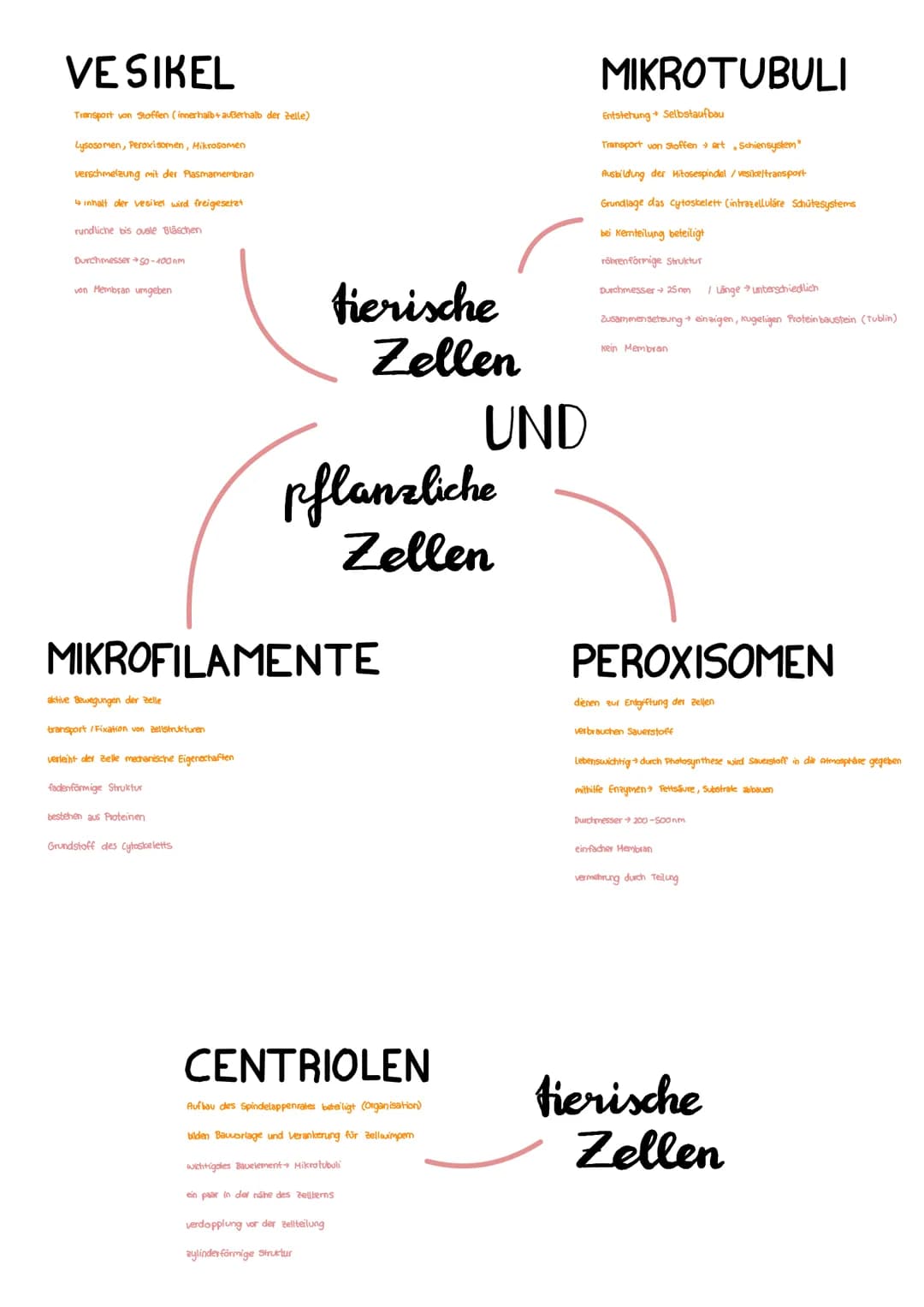  1.1
1.2
1.3
2
2.1
4.1
5
5.1
5.2
6
6.1
6.2
Zelle pflanzliche, tierische
Bestandteile pflanzliche+tierische Zelle
↳ Funktion, Aufbau
Bestandt
