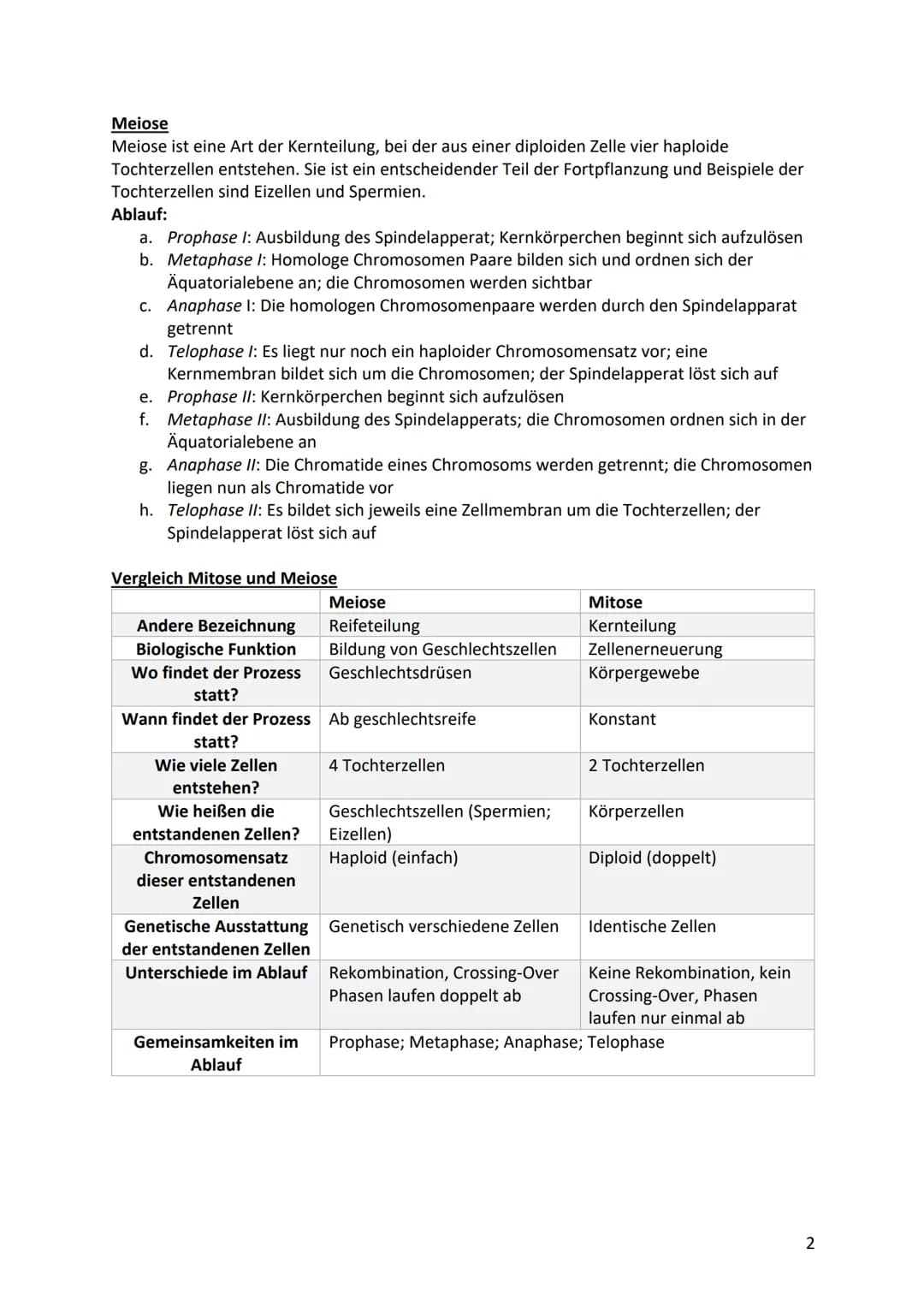 Biologie Klausurvorbereitung S2
Molekular Genetik
Grundbegriffe
Begriff
Genotyp
Phänotyp
Gen
Allel
Chromosomen
Chromatid
Centromer
Diploid
H