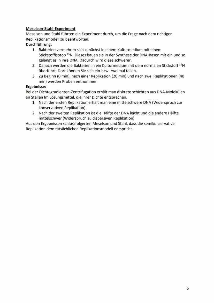 Biologie Klausurvorbereitung S2
Molekular Genetik
Grundbegriffe
Begriff
Genotyp
Phänotyp
Gen
Allel
Chromosomen
Chromatid
Centromer
Diploid
H