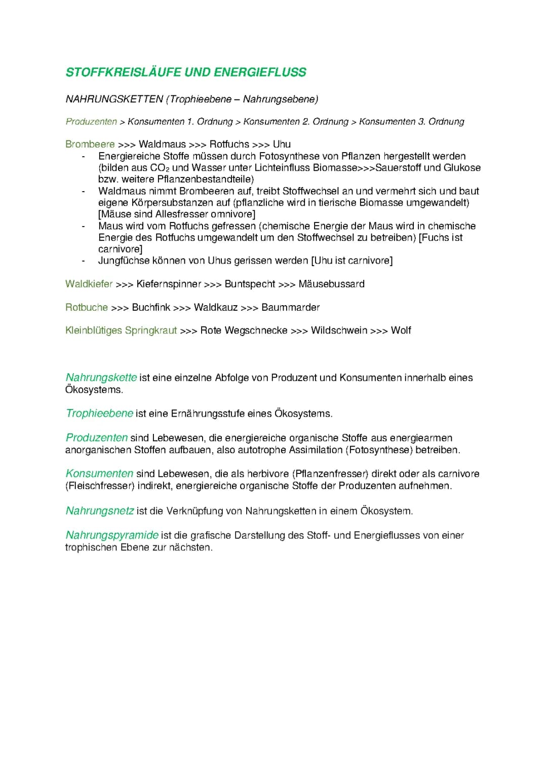 Energiefluss und Stoffkreislauf im Ökosystem: Einfach erklärt für Kinder