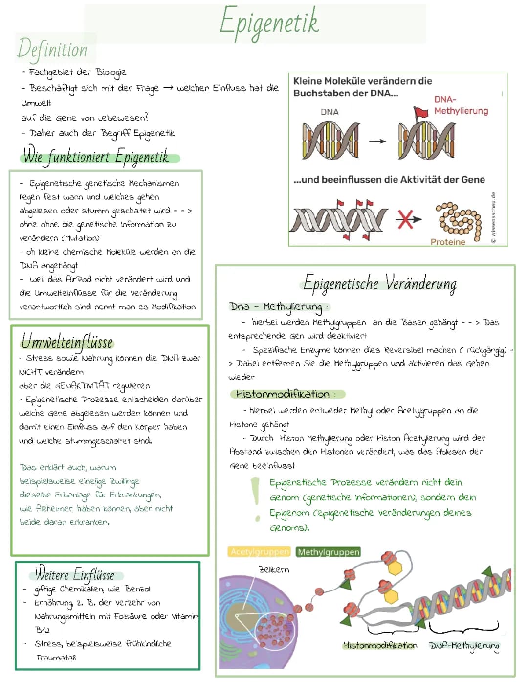 EPIGENETIK  LK 