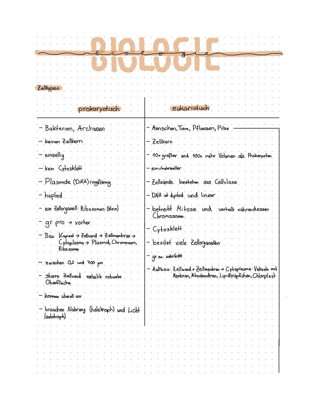 Zelltypen
- einzellig
DIOLOGIE
prokaryotisch
- Bakterien, Archaeen
- keinen Zellkem
kein Cytosklett
- Plasmide (DNA) ringförmig
- haploid
- 