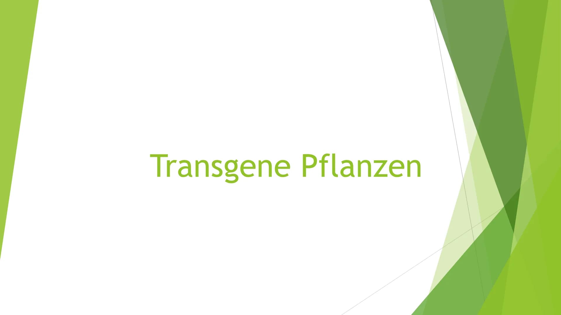 Transgene Pflanzen Gliederung
► Transgene Pflanzen (Grund?, Nutzen?, Ziel?)
Antisense Technik
►Flavr-Savr-Tomate ("Antimatsch-Tomate")
► Agr