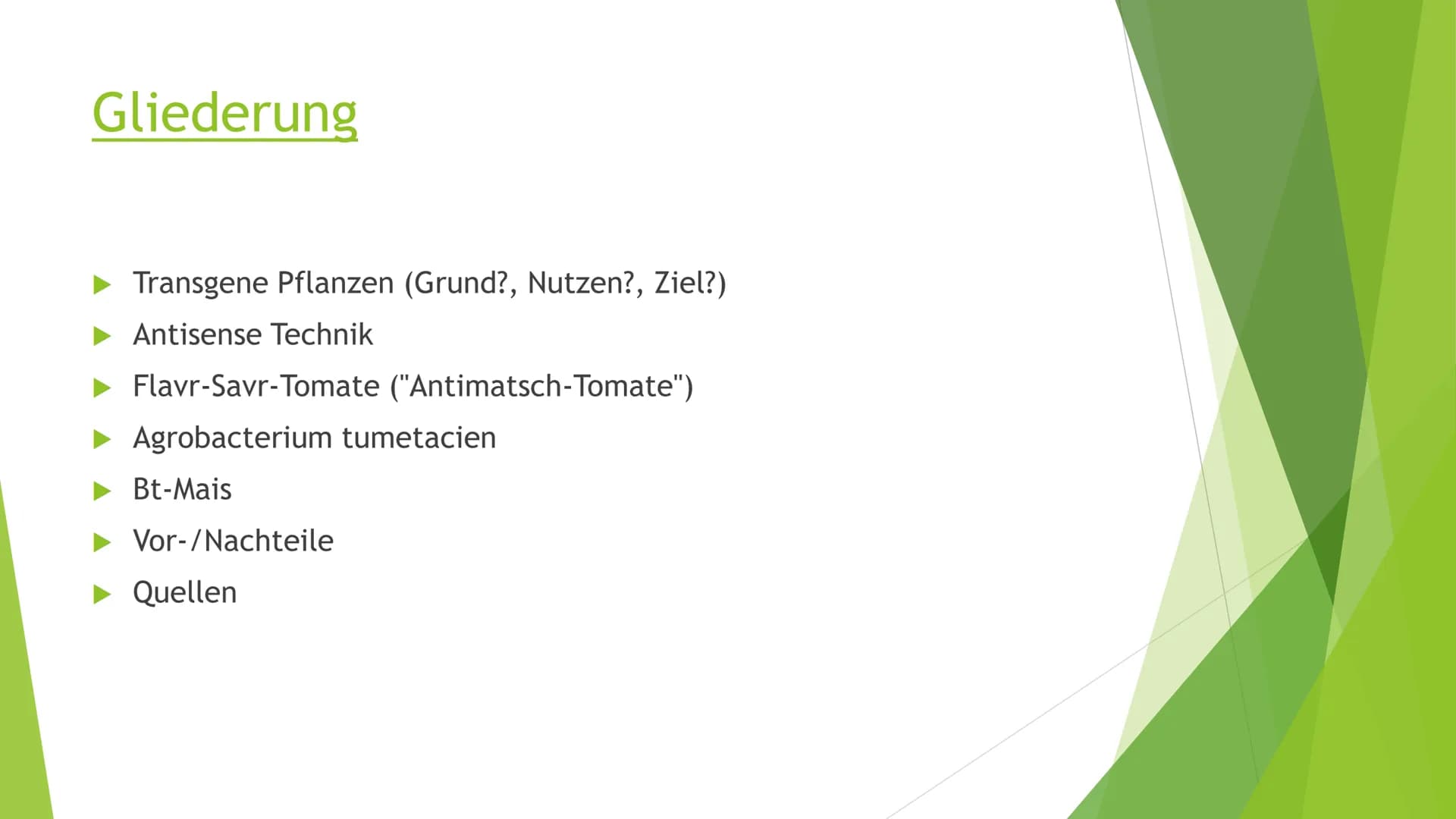 Transgene Pflanzen Gliederung
► Transgene Pflanzen (Grund?, Nutzen?, Ziel?)
Antisense Technik
►Flavr-Savr-Tomate ("Antimatsch-Tomate")
► Agr